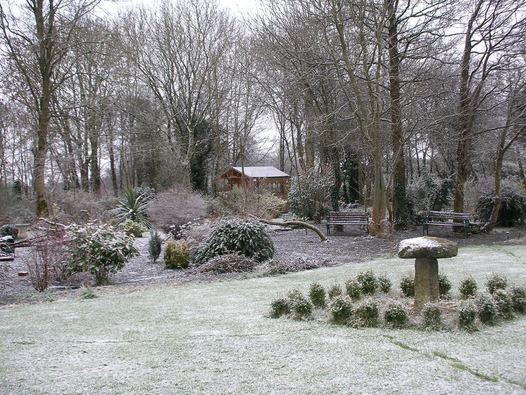 Moonarch Bed And Breakfast Kilkenny Exterior photo